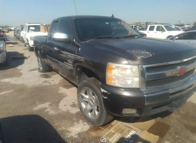 CHEVROLET SILVERADO 1500 2010 1gcscse09az265758