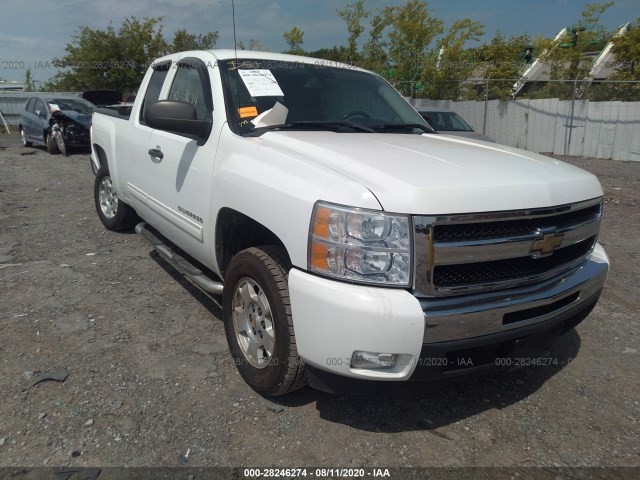 CHEVROLET SILVERADO 1500 2010 1gcscse0xaz254445