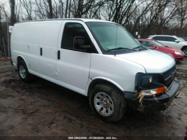 CHEVROLET EXPRESS 1500 2014 1gcsgafx8e1113811