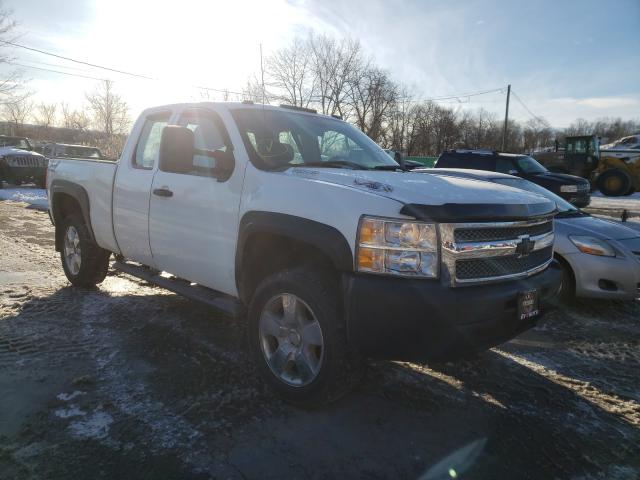 CHEVROLET SILVERADO 2010 1gcskpe32az140711