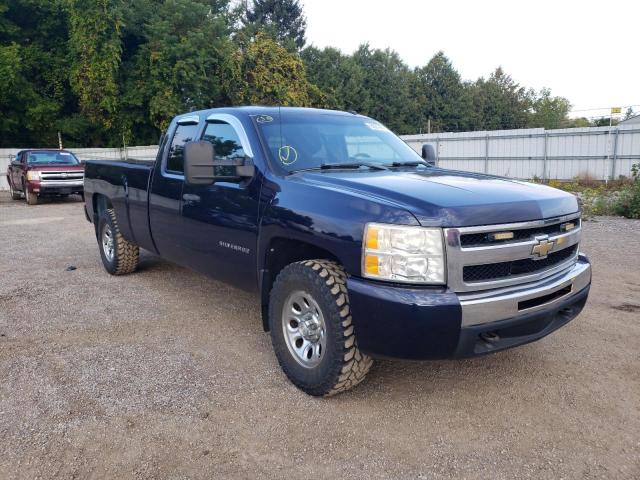 CHEVROLET SILVERADO 2010 1gcskre04az192374