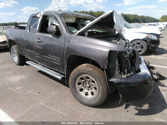 CHEVROLET SILVERADO 1500 2010 1gcskrea6az107947