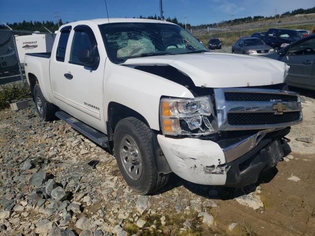 CHEVROLET SILVERADO 2010 1gcskrea7az234609