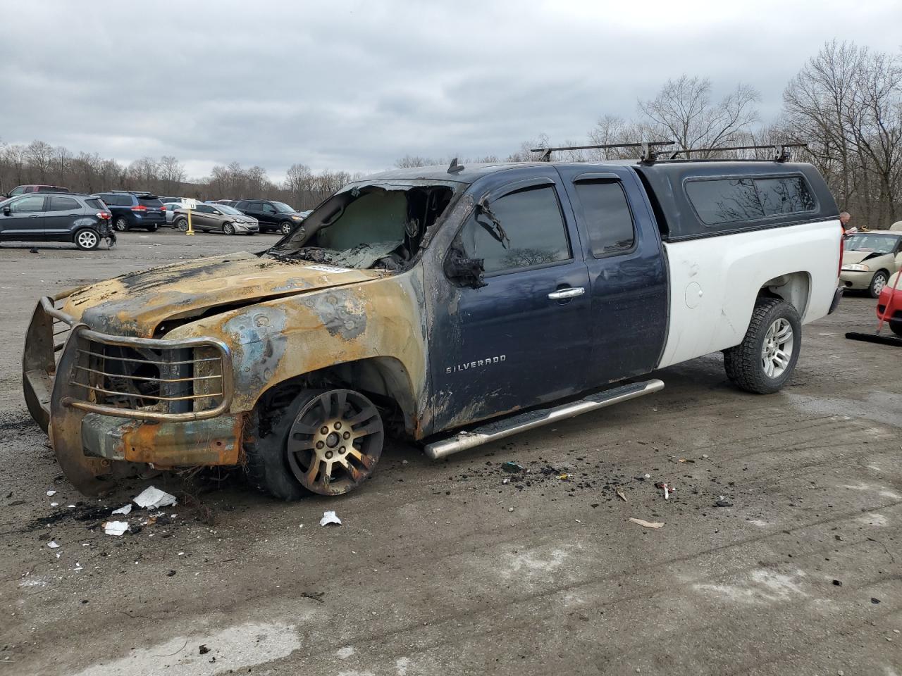 CHEVROLET SILVERADO 2010 1gcskse09az227272