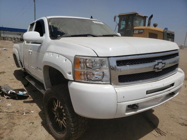 CHEVROLET SILVERADO 2010 1gcskse31az125801