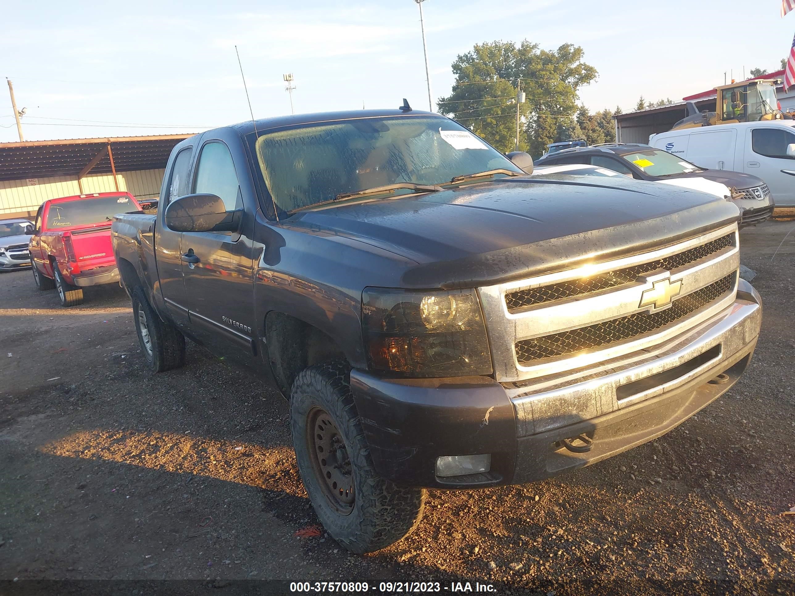 CHEVROLET SILVERADO 2010 1gcskse31az280591