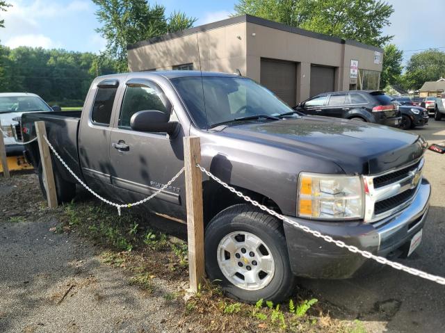 CHEVROLET SILVERADO 2010 1gcskse32az295343