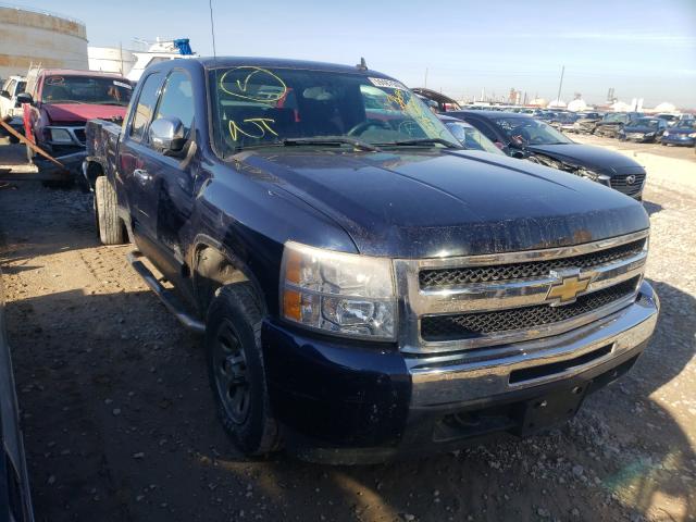 CHEVROLET SILVERADO 2010 1gcskse34az199620