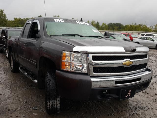 CHEVROLET SILVERADO 2010 1gcskse35az130449