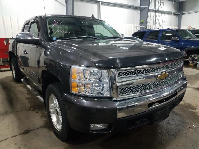 CHEVROLET SILVERADO 2010 1gcskse35az254429