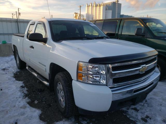 CHEVROLET SILVERADO 2010 1gcskse38az123480