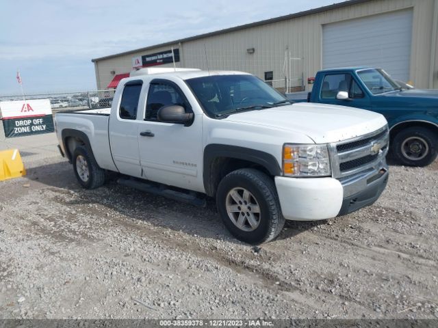 CHEVROLET SILVERADO 1500 2010 1gcskse38az158083