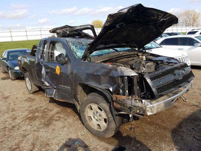 CHEVROLET SILVERADO 2010 1gcskse38az220873