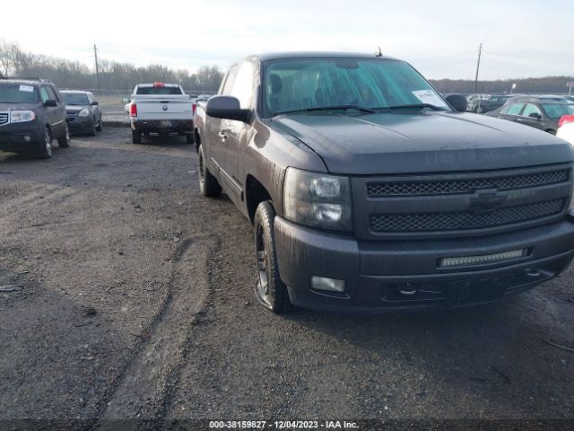 CHEVROLET SILVERADO 1500 2010 1gcskse38az293645