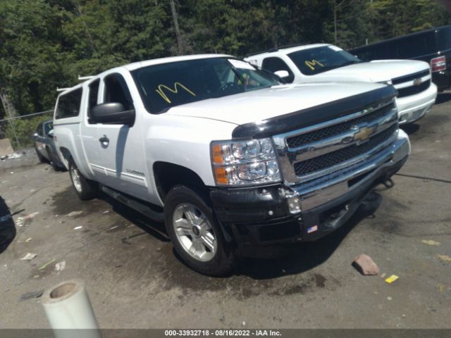 CHEVROLET SILVERADO 1500 2010 1gcskse39az133175