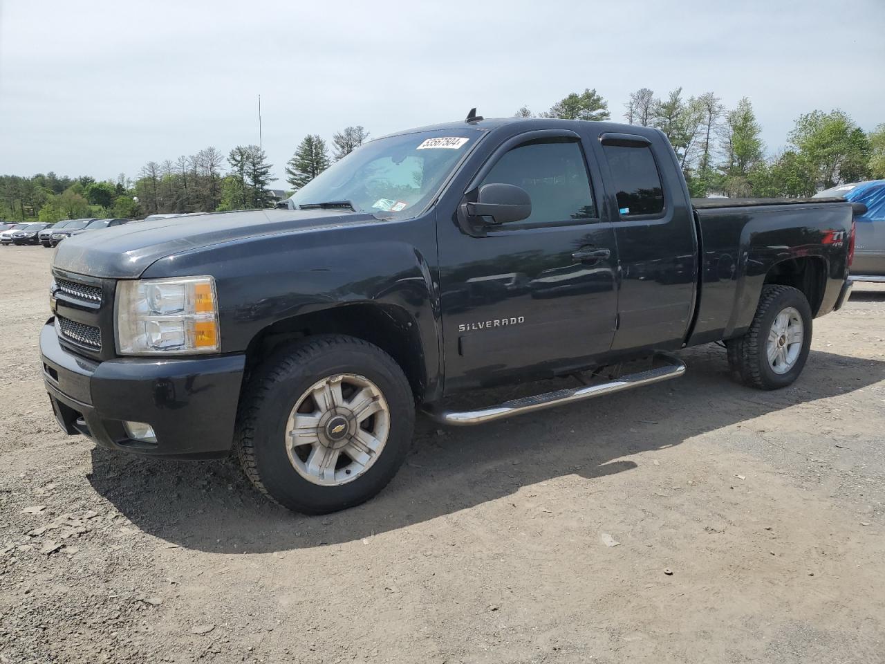 CHEVROLET SILVERADO 2010 1gcskse39az225418