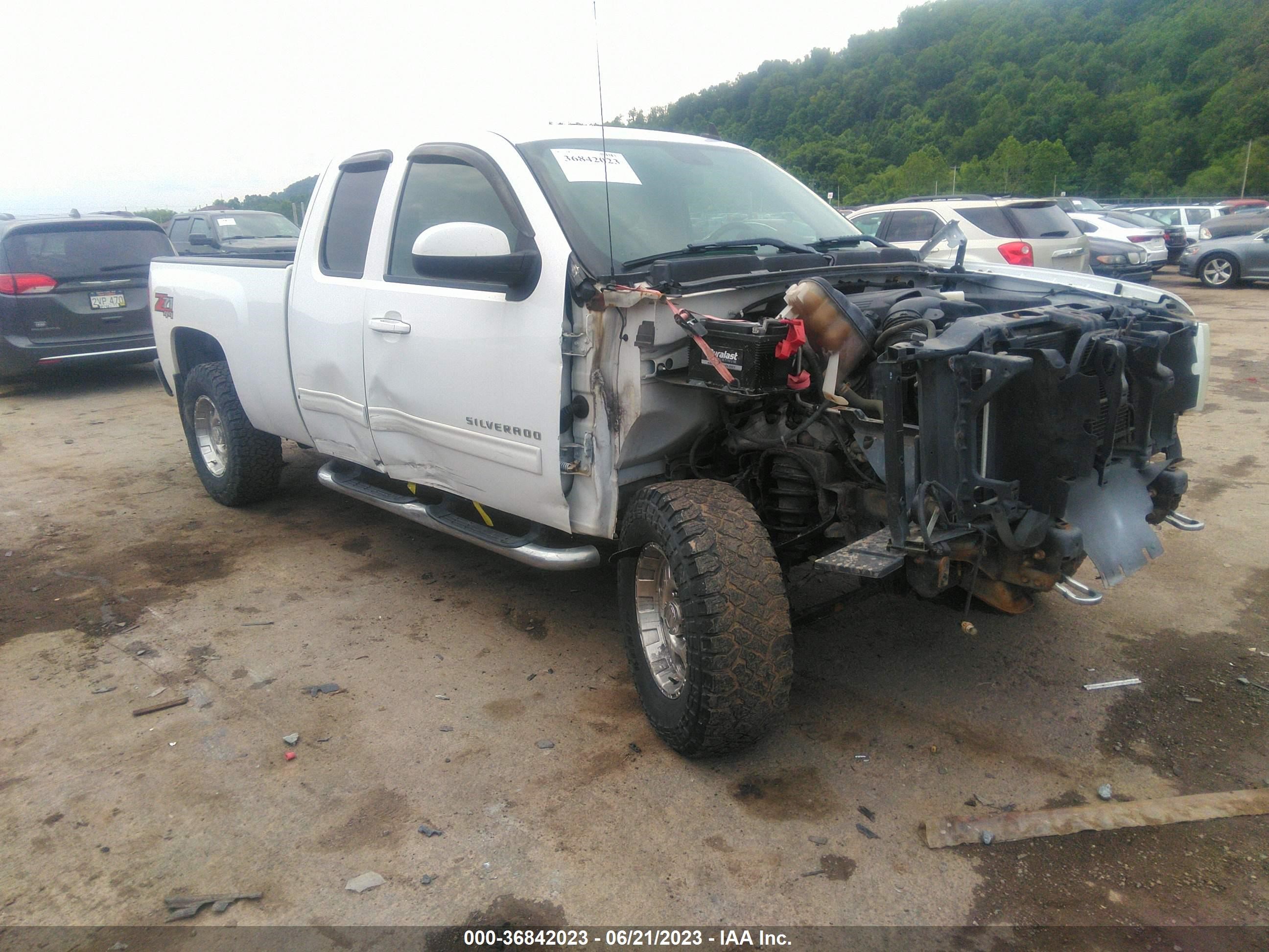 CHEVROLET SILVERADO 2010 1gcskse39az298949