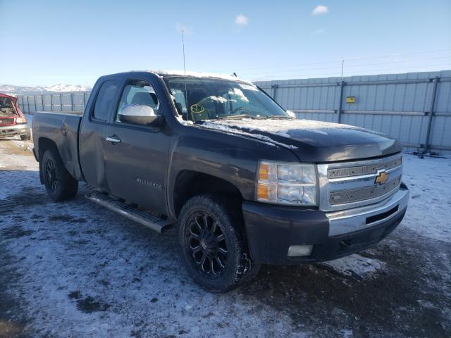 CHEVROLET SILVERADO 2010 1gcskse3xaz129376