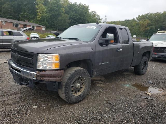 CHEVROLET SILVERADO 2010 1gcskse3xaz271565