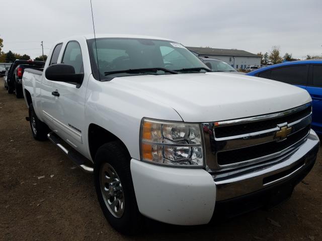 CHEVROLET SILVERADO 2010 1gcsksea2az195810