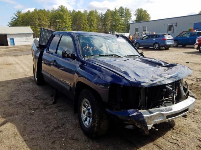 CHEVROLET SILVERADO 2010 1gcsksea3az285791