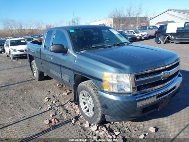 CHEVROLET SILVERADO 1500 2010 1gcsksea5az100642