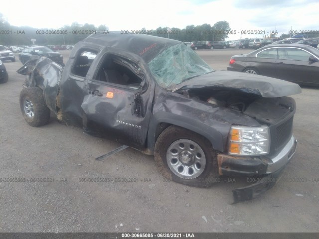 CHEVROLET SILVERADO 1500 2010 1gcsksea6az202371