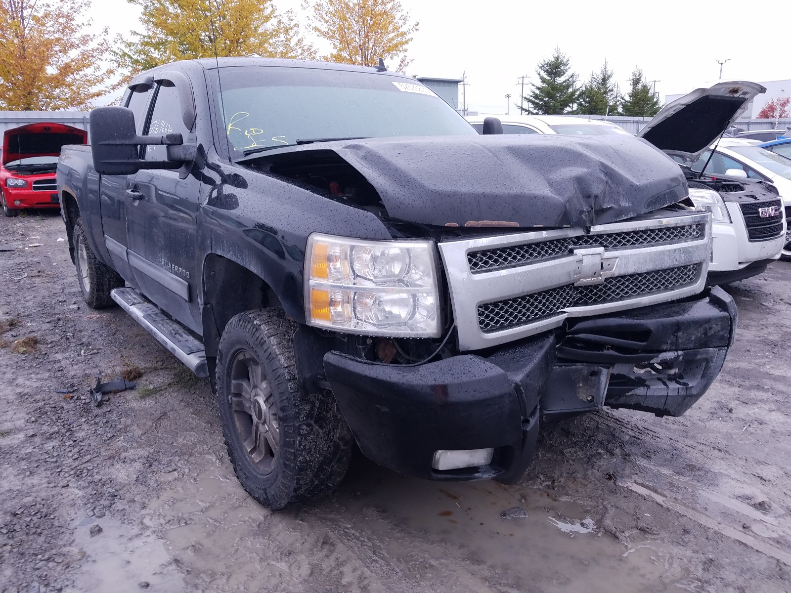 CHEVROLET SILVERADO 2010 1gcskte31az185051