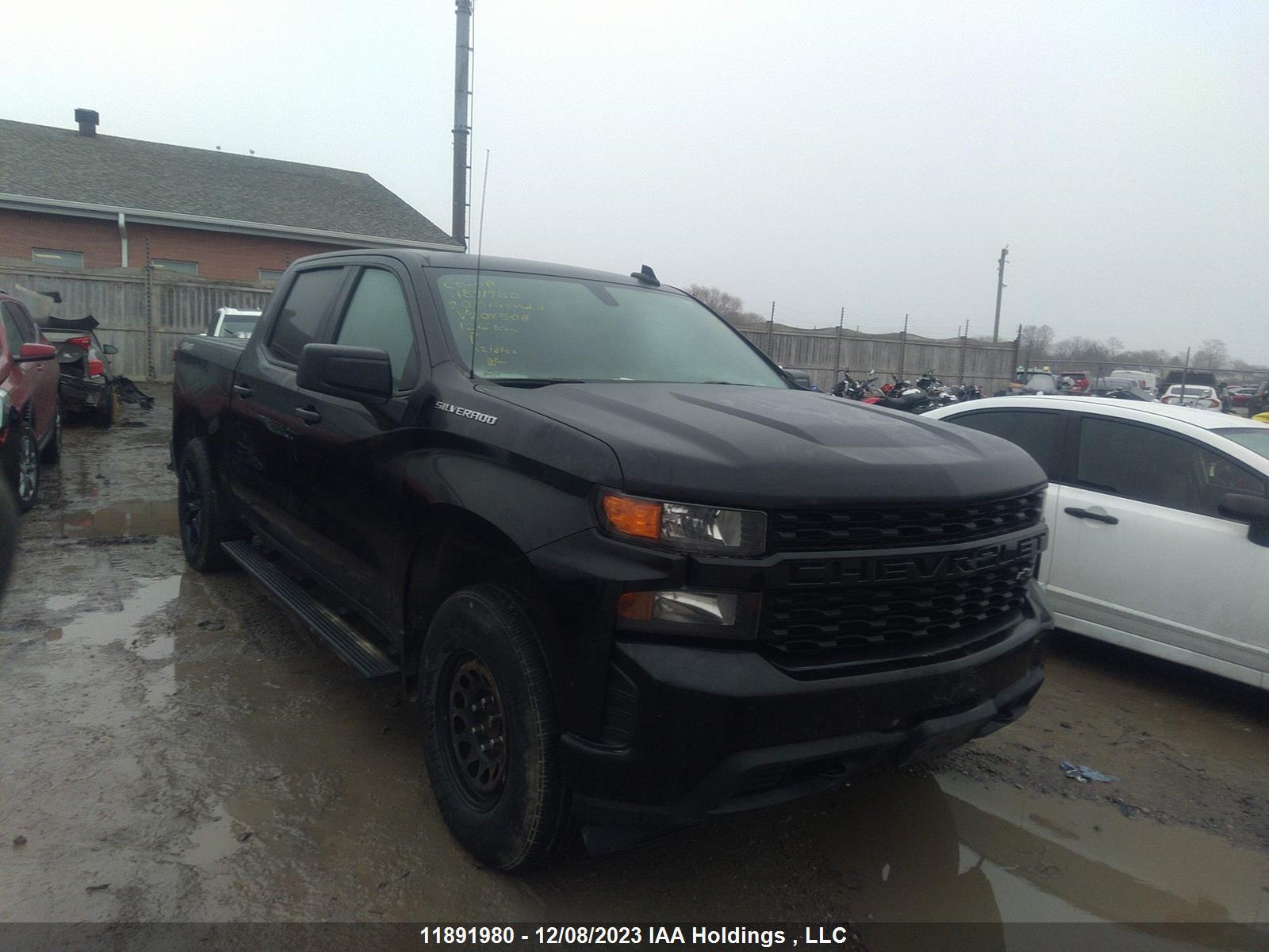 CHEVROLET SILVERADO 2020 1gcuybef9lz204508