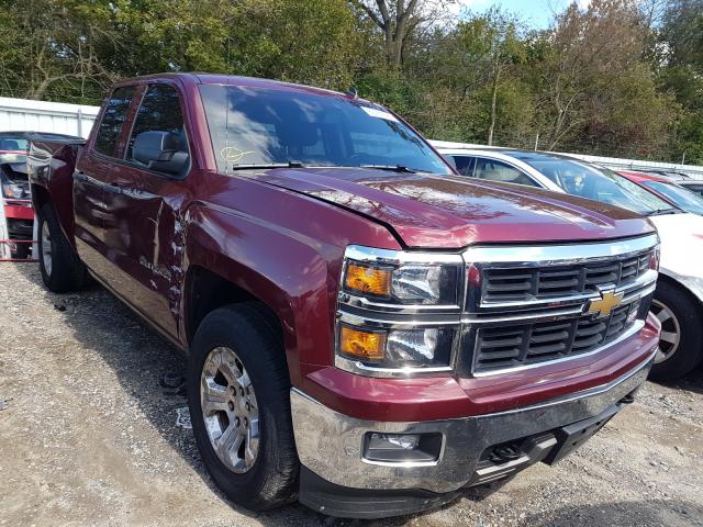 CHEVROLET SILVERADO 2014 1gcvkrec4ez307553