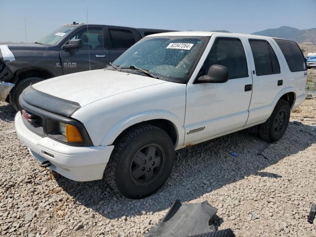 GMC JIMMY 1997 1gkdt13w3v2521051