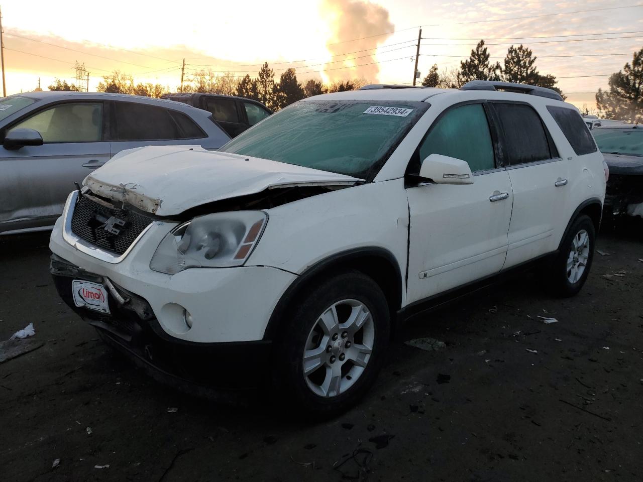 GMC ACADIA 2009 1gkev23d49j208685