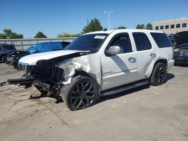 GMC YUKON DENA 2007 1gkfk63897j319124