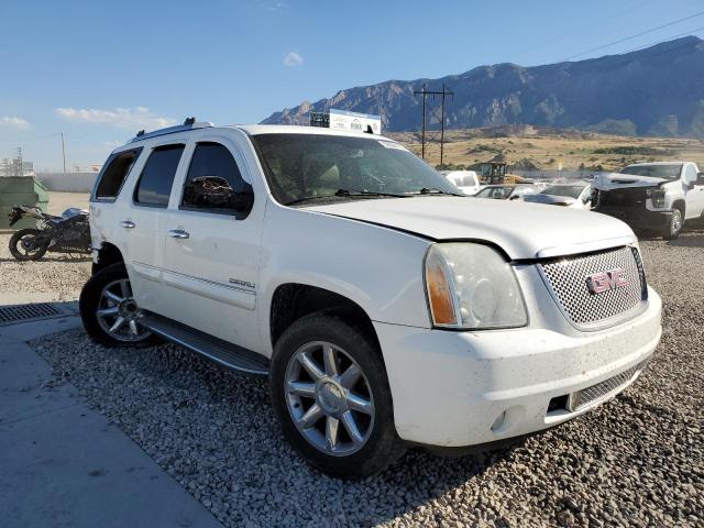 GMC YUKON DENA 2010 1gkukeef9ar283215