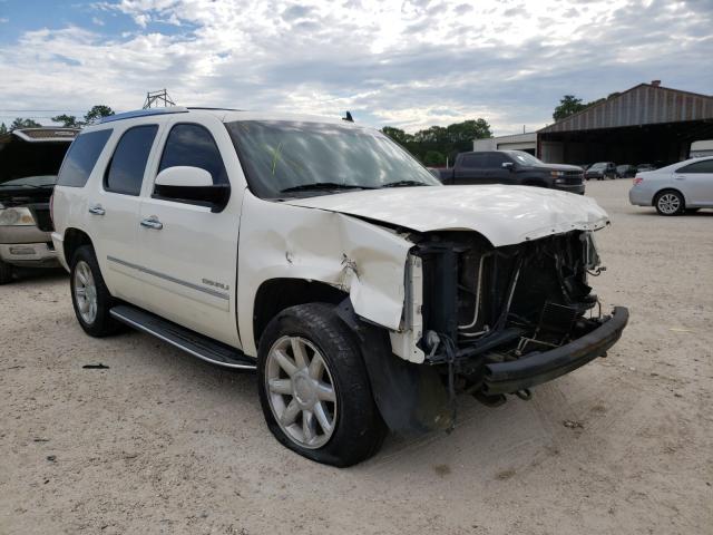 GMC YUKON DENA 2010 1gkukeefxar166890