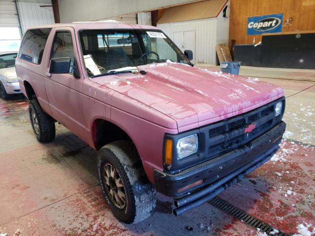 CHEVROLET BLAZER S10 1991 1gnct18z2m0160973