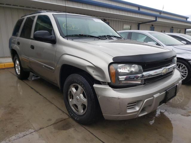 CHEVROLET TRAILBLAZE 2002 1gnds13s022524956