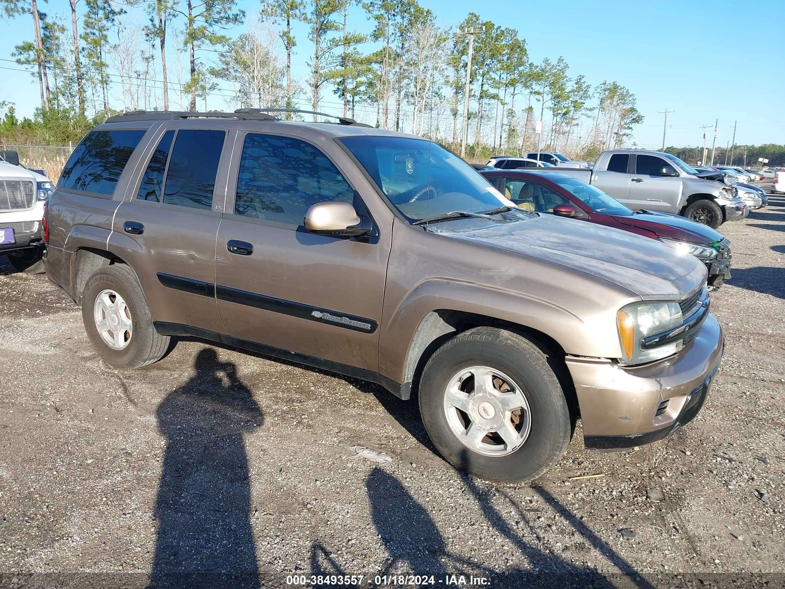 CHEVROLET TRAILBLAZER 2003 1gnds13s032160717