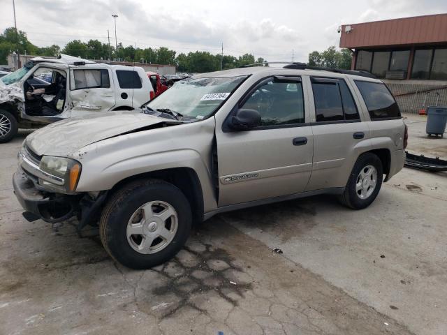 CHEVROLET TRAILBLAZE 2002 1gnds13s222491751