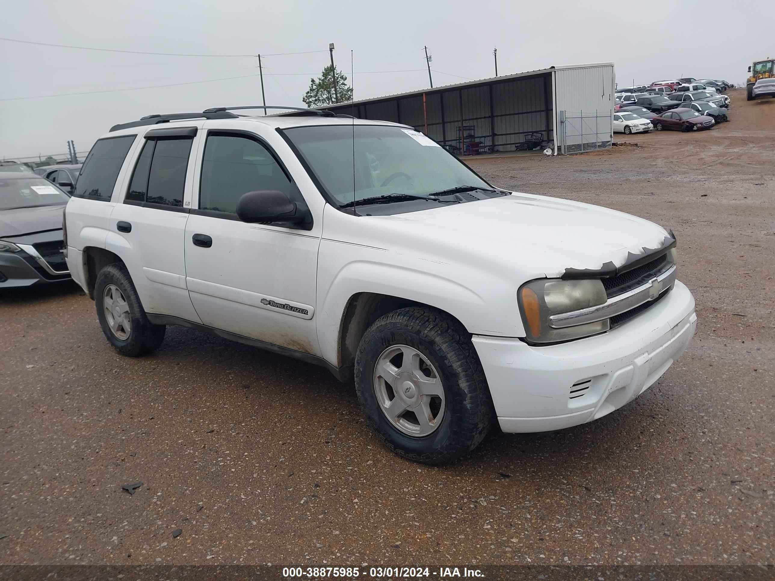 CHEVROLET TRAILBLAZER 2002 1gnds13s222523386