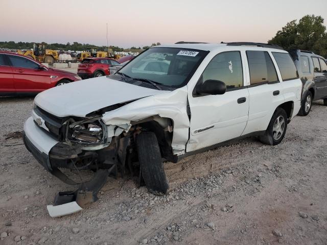 CHEVROLET TRAILBLAZE 2003 1gnds13s332259368