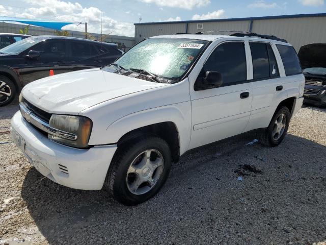 CHEVROLET TRAILBLZR 2007 1gnds13s372102607