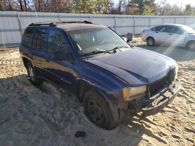 CHEVROLET TRAILBLAZE 2003 1gnds13s432386548