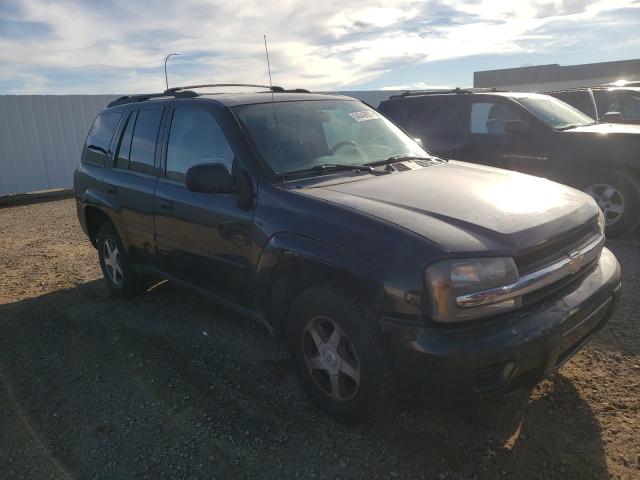 CHEVROLET TRAILBLAZE 2006 1gnds13s462264793