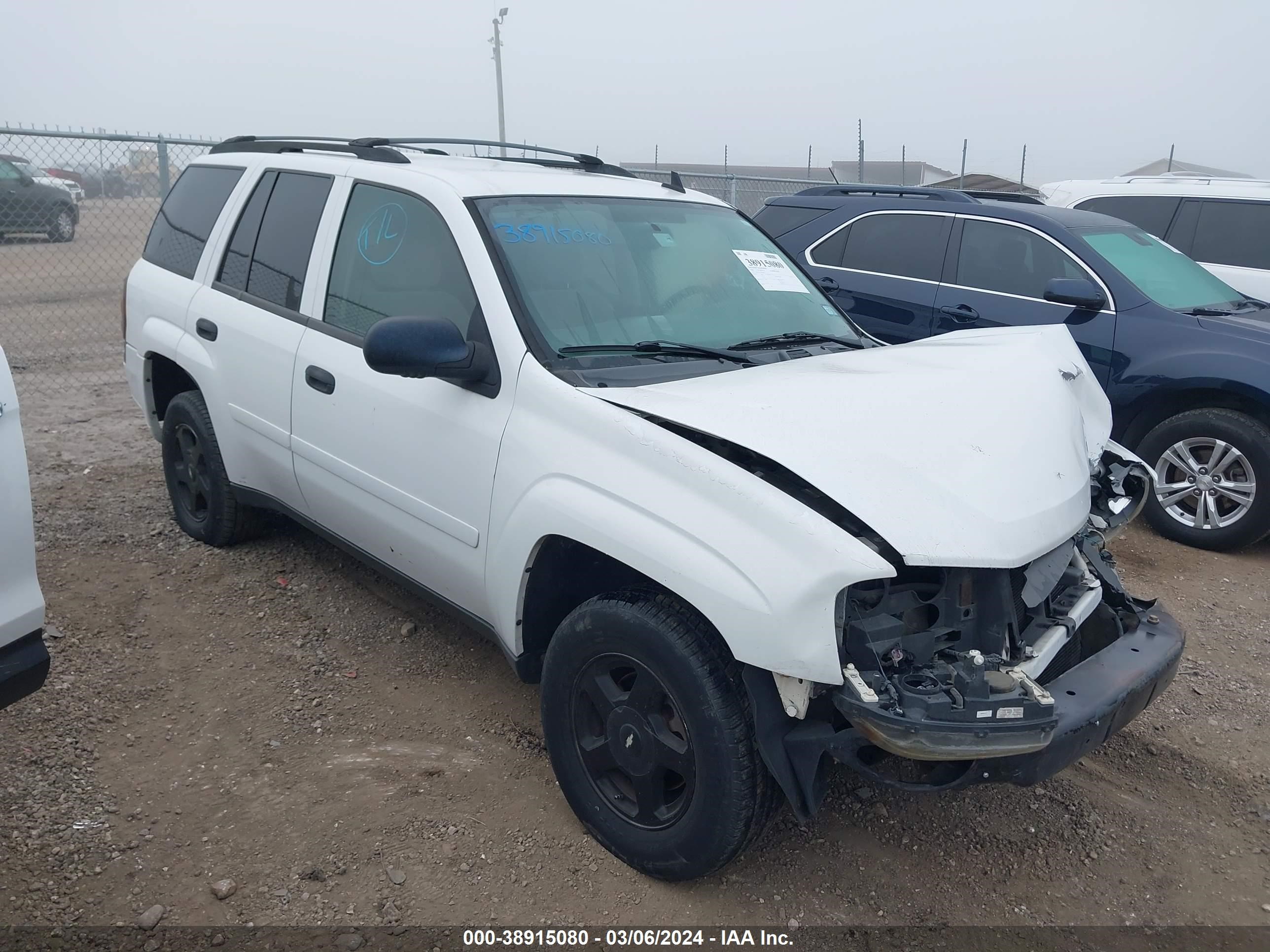 CHEVROLET TRAILBLAZER 2006 1gnds13s562190073