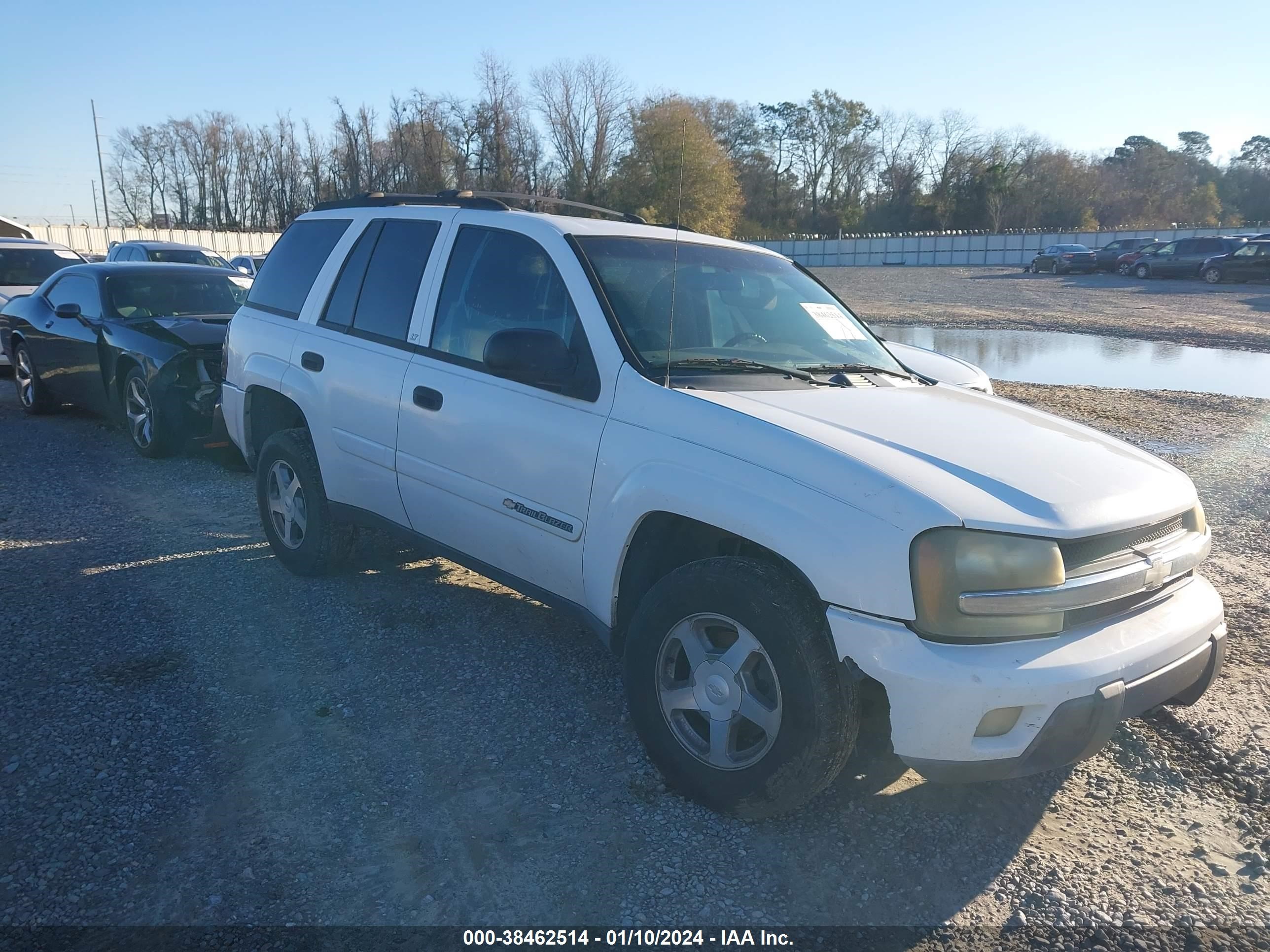 CHEVROLET TRAILBLAZER 2003 1gnds13s732285990