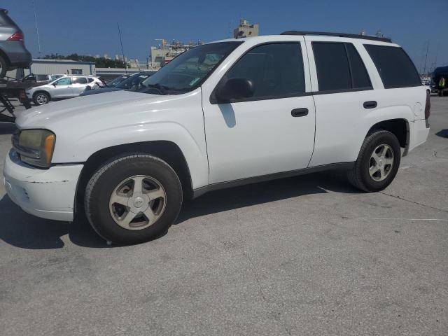 CHEVROLET TRAILBLAZE 2006 1gnds13s762175929