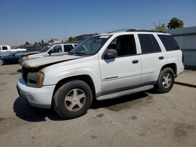 CHEVROLET TRAILBLAZE 2003 1gnds13s832393115