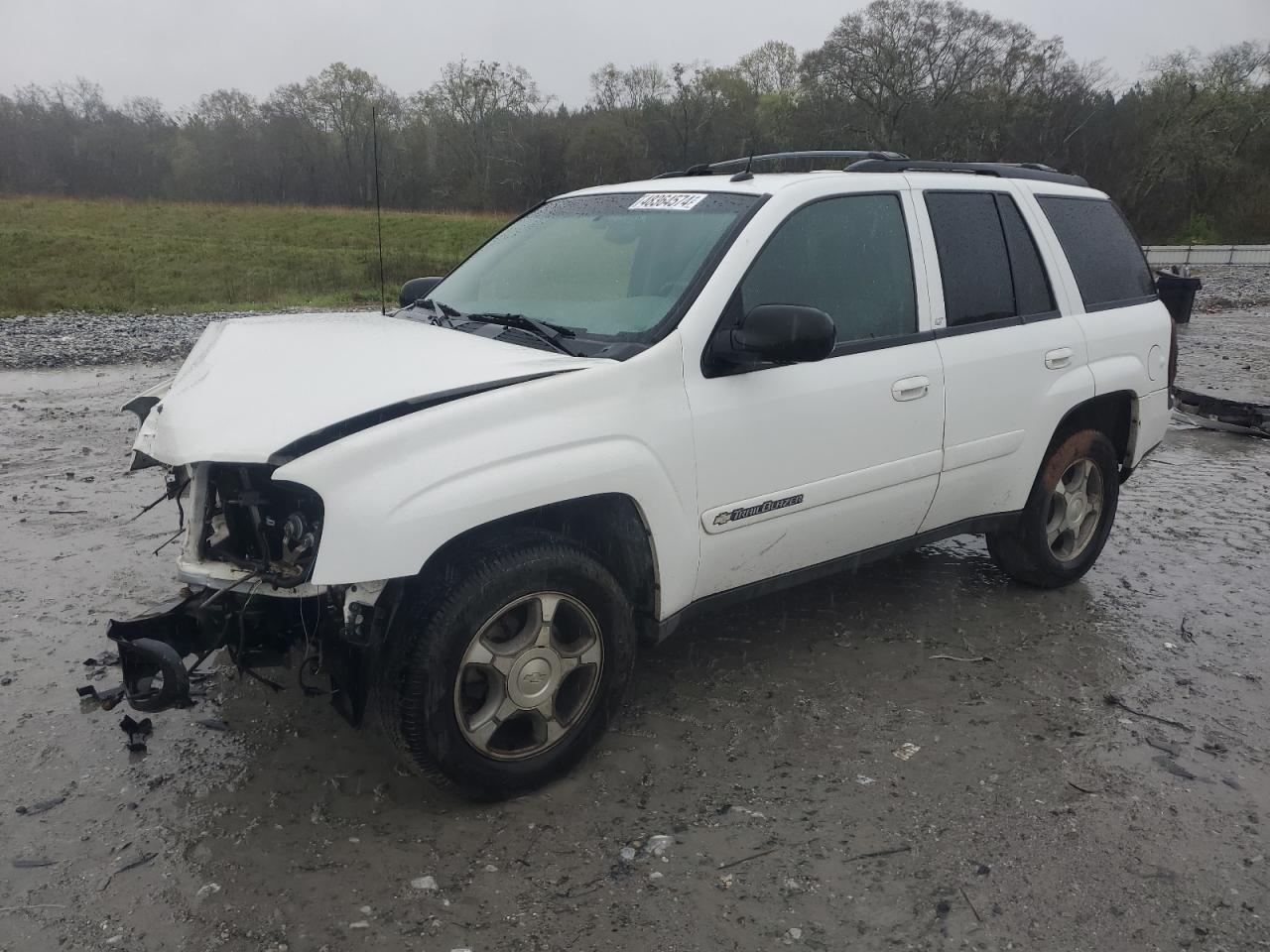 CHEVROLET TRAILBLAZER 2004 1gnds13s842262509