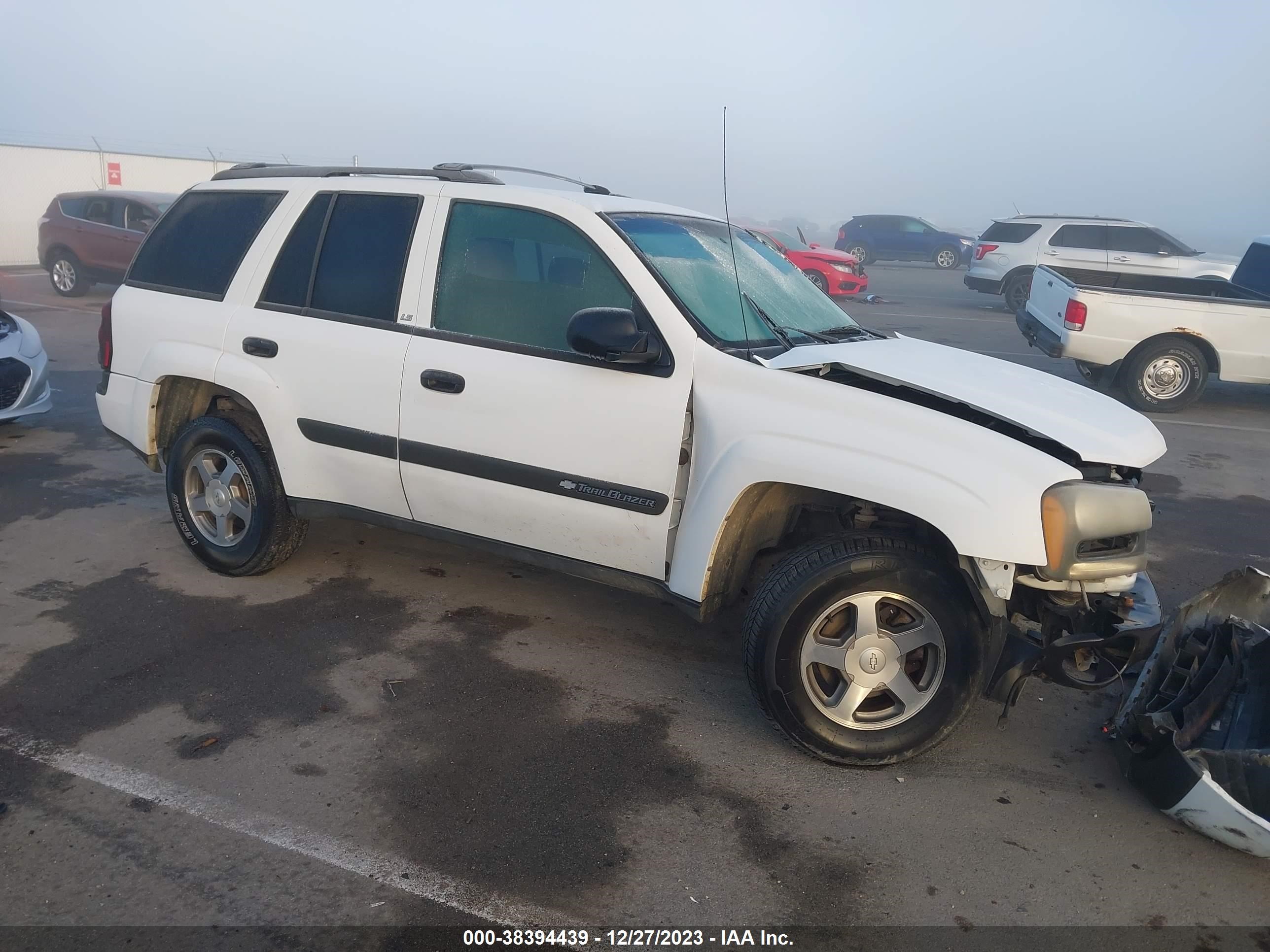 CHEVROLET TRAILBLAZER 2004 1gnds13s842303687